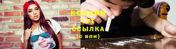 трава Киренск