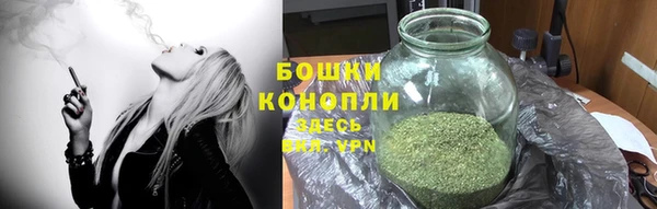 трава Киренск