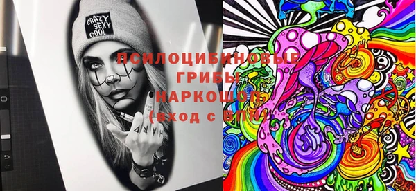 дурь Лабытнанги