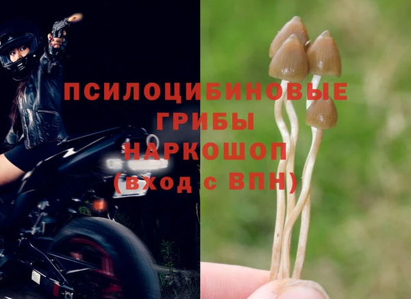 прущая мука Козельск