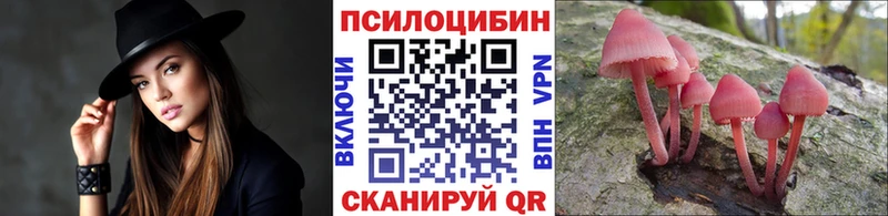 kraken рабочий сайт  купить  цена  darknet состав  Галлюциногенные грибы мицелий  Афипский 